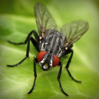 /album/notifut/photolia-a01-jpg/