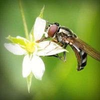 /album/notifut/photolia-a02-jpg/