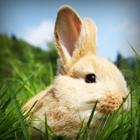 /album/notifut/photolia-a03-jpg/