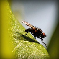 /album/notifut/photolia-a04-jpg/