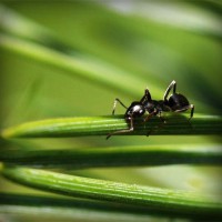 /album/notifut/photolia-a05-jpg/