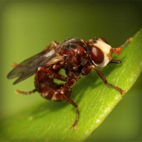 /album/notifut/photolia-a06-jpg/