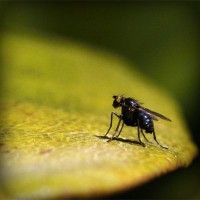 /album/notifut/photolia-a07-jpg/