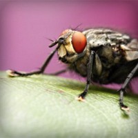 /album/notifut/photolia-a08-jpg/